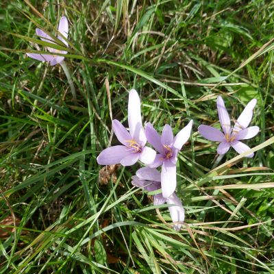 026 Diese sollte man nicht essen meinte Christof
